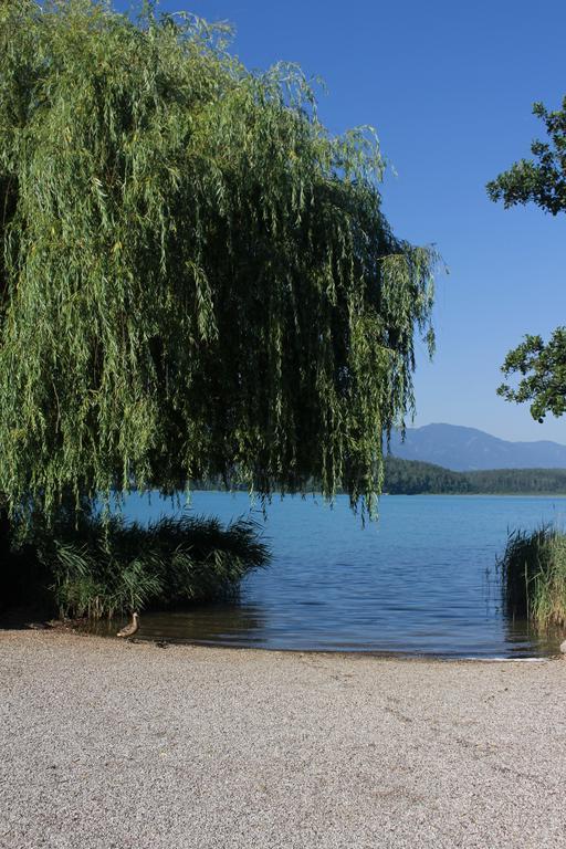 Pension Haus Aschgan Φίλλαχ Εξωτερικό φωτογραφία